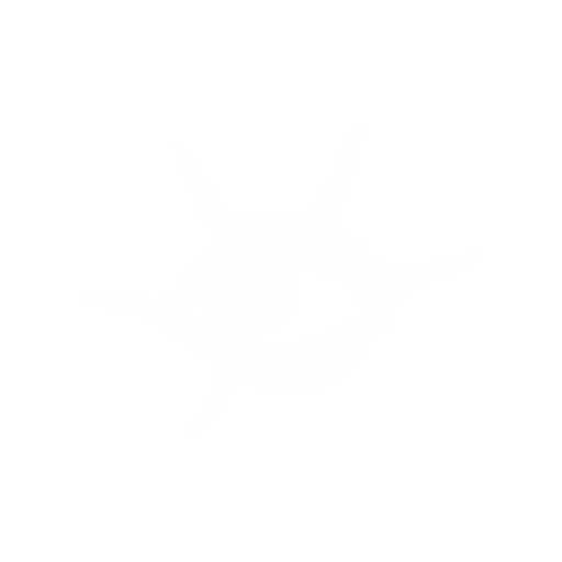 DISTORT LABS